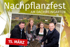 sob-nl-absatz-nachpflanzfest-230315_@2x.jpg